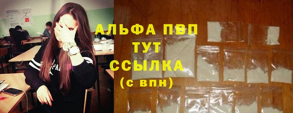 ГАЛЛЮЦИНОГЕННЫЕ ГРИБЫ Белокуриха