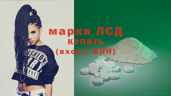 ГАЛЛЮЦИНОГЕННЫЕ ГРИБЫ Белокуриха