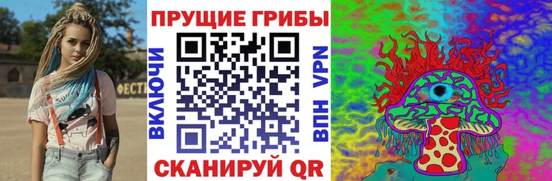 Псилоцибиновые грибы Psilocybine cubensis Волгодонск