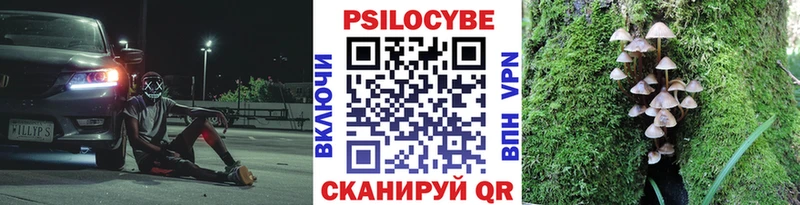 Псилоцибиновые грибы мицелий  Волгодонск 