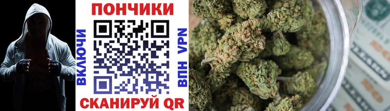 Каннабис план  где продают   Волгодонск 